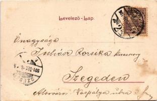 1901 Újszentes, Vadászerdő, Dumbravita, Santesti (Temesvár, Timisoara); M. kir. erdészeti szakiskola...