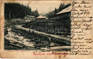 Tótosbánya, Totos (Budfalva, Budesti, Máramaros); Zserampó-völgy, aranybánya. Berger Miksa kiadása / valley, gold mine (fl)