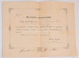 1881 Hivatalos elismervény az aradi vértanúk szobrára adott adományról. + kapcsolódó későbbi újságci...