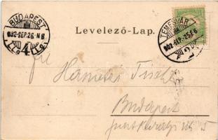 1902 Temesvár, Timisoara; Ferenc József színház, piac. Káldor Zs. és Társa kiadása / theatre, market...