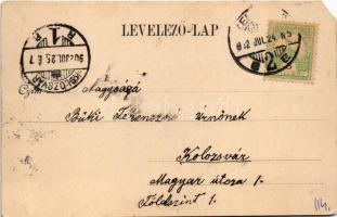 1902 Temesvár, Timisoara; M. kir. állami tanítóképző. Králicsek Béla kiadása / teachers' traini...
