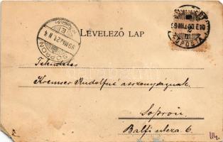 1899 Budapest V. Erzsébet téri Kioszk és park. Károlyi György kiadása (b)