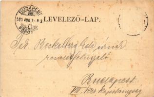 1899 Temesvár, Timisoara; Cs. és kir. tüzérszertár. Králicsek Béla kiadása / K.u.K. Artillerie-Zeugh...
