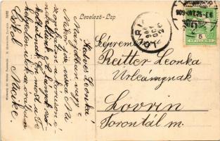 1909 Temesvár, Timisoara; Megyeháza. Moravetz és Weisz kiadása / Comitatshaus / county hall