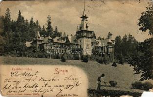 1901 Sinaia, Castelul Peles. Römmler &amp; Jonas (Dresden) / castle (b)