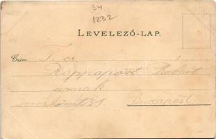 Szeged, Széchenyi tér, Városháza, Városi színház, Közúti vashíd a rakparttal, Híd utca, MÁV palotája...