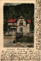 1902 Tusnádfürdő, Baile Tusnad; Krivány villa / villa