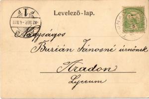 1902 Tusnádfürdő, Baile Tusnad; Krivány villa / villa