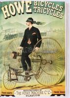 Max Gallo: Geschichte der Plakate. Mit einem Aufsatz über die Entwicklung der Plakatkunst von Carlo ...