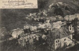 Kaltenleutgeben health resort