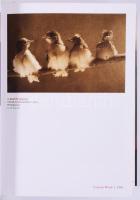 Alfred Stieglitz: Camera Work. The Complete Photographs 1903-1917. Köln,2008,Taschen. Német nyelven....