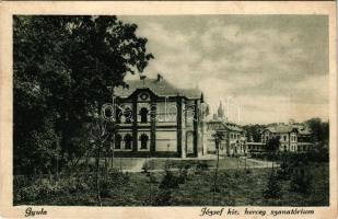 Gyula, József kir. herceg szanatórium látképe és saját kiadása (EK)