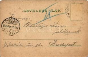 1903 Körmöcbánya, Kremnitz, Kremnica; Untere Gasse / Alsó utca, Süsz Mari, Tandlich Fülöp, Klein, Va...