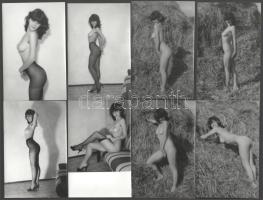 Amatőr erotikus művészfotók, 13 db, 14x9 cm