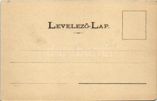 1901 Tusnádfürdő, Baile Tusnad; látkép este holdfényben. W. G. kiadása / general view at night in mo...