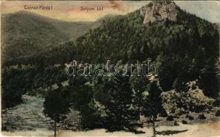 Tusnádfürdő, Baile Tusnad; Sólyom-kő. Brunner Lajos kiadása / Piatra Soimilor / rock (fl)