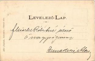 1905 Vajdahunyad, Hunedoara; vár belseje. Adler fényirda (Szászváros) / castle (EK)