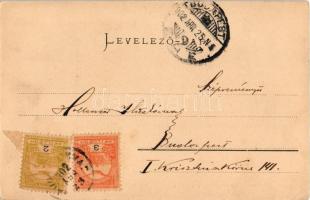 1902 Vajdahunyad, Hunedoara; vár. Schuller A. kiadása (Szászváros) / castle (EK)