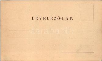 Vajdahunyad, Hunedoara; vár. Schuller A. kiadása (Szászváros), A. Schäser felvétele / castle (vágott...