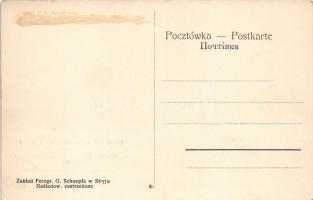 Stryi, Stryj, Strij; Die Feier der Enthüllung eines Wehrschildes / Uroczystosc odsloniecia tarczy ry...