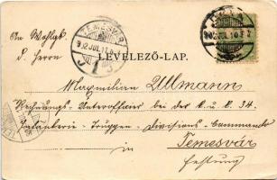 1902 Vajdahunyad, Hunedoara; vár / castle (vágott / cut)