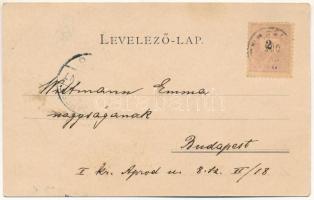 1900 Varjas, Varias; Római katolikus templom, Takarékpénztár, Schnur szálloda. Schmidt Edgar kiadása...