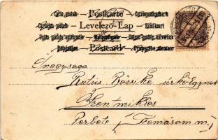 1901 Macskák / cats (fl)