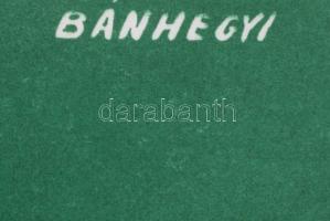 Bánhegyi Tibor (1923-): "Jelentkezz mezőgazdasági és erdőgazdálkodási szakmunkástanulónak"...