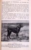 Oberländer, Carl (Rehfus-Oberländer): Die Dressur und Führung des Gebrauchschundes. [A munkakutya ki...