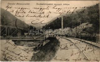 1907 Terebesfejérpatak, Terebes (Trebusa), Dilova, Dilove (Máramaros); Üveggyár, vasút, híd. Kaufman Á. és fiai kiadása, Csermák M. felvétele / glass factory, railway track, bridge (EK)