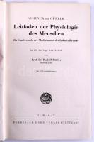 Schenck und Gürber. Leitfaden der Physiologie des Menschen für Studierende der Medizin und der Zahnheilkunde. Bearbeitet: Prof. Dr. Rudolf Dittler. Stuttgart, 1942., Ferdinand Enke, XII+294+2 p. Német nyelven. Kiadói félvászon-kötés, kissé kopott borítóval, egy-két helyen ceruzás aláhúzással és bejegyzésekkel.