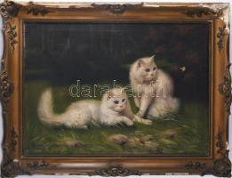 Boleradszky Benő (1885-1957): Cicák (macskák). Olaj, vászon, jelezve jobbra fent. Kisebb sérülésekkel. Dekoratív, sérült fakeretben. 50x70 cm