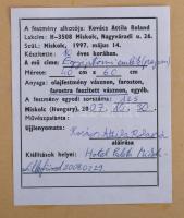 Kovács Attila Roland (1997-): Egyiptomi emlék (pajzsos), 2007. Olaj, vászon, faroston, jelzett. Repr...