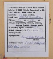 Kovács Attila Roland (1997-): Állatok teremtése, 2007. Olaj, vászon, faroston, jelzett. Reprodukálva...