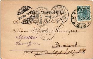 1900 Písek, Obcanská zálozna / pawnshop, monument (EM)