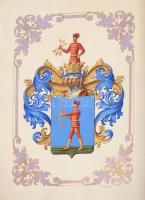 1914 Címereslevél (Armalis). Címerábrázolást tartalmazó, és nemesi előnév adományozó királyi oklevél...