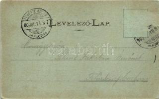 1900 Nagykikinda, Kikinda; Koronaherceg út, Frank Dezső üzlete, Ferenc József tér este holdfényben, ...