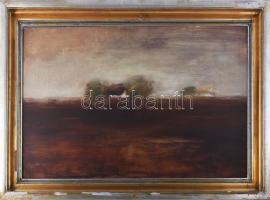 Babos Éva (1948-): Tanya. Olaj, farost, jelzett. Dekoratív, sérült fakeretben, 44×70 cm