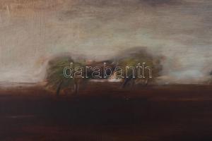 Babos Éva (1948-): Tanya. Olaj, farost, jelzett. Dekoratív, sérült fakeretben, 44×70 cm