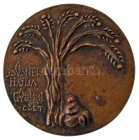 Csíkszentmihályi Róbert (1940-2021) 1970 k. "A jövőnek hajtja a gyümölcsét" bronz emlékérem (81mm) T:AU,XF patina