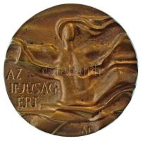 Asszonyi Tamás (1942-) DN "Az Ifjúságért / Ifjúsági díj ÁIB (Állami Ifjúsági Bizottság)" kétoldalas bronz díjplakett (76mm) T:AU