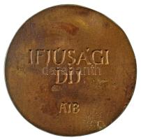 Asszonyi Tamás (1942-) DN "Az Ifjúságért / Ifjúsági díj ÁIB (Állami Ifjúsági Bizottság)" k...