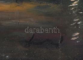 Dulity Tibor (1935-2005): Tanya. Olaj, farost. Jelezve jobbra lent. Fakeretben. 50x80 cm