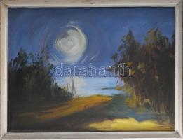 Zentai Pál (1938-1987): Ezüsthíd. Olaj, farost. Jelezve jobbra lent. Fakeretben. 60x80 cm