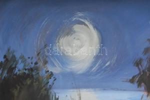 Zentai Pál (1938-1987): Ezüsthíd. Olaj, farost. Jelezve jobbra lent. Fakeretben. 60x80 cm