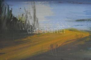 Zentai Pál (1938-1987): Ezüsthíd. Olaj, farost. Jelezve jobbra lent. Fakeretben. 60x80 cm