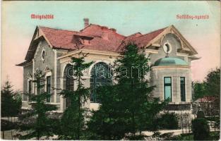 Budapest XVI. Mátyásföld, Szőllősy nyaraló, villa (EB)