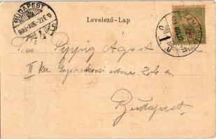 1903 Temesvár, Timisoara; Gyárvárosi római katolikus templom belseje / Fabric, church interior (EK)