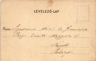 Budapest VIII. Kerepesi út, Nemzeti színház és bérháza, villamosok, Szikszay Ferenc étterme. Divald ...