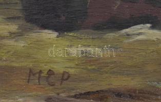 Molnár C. Pál (1894-1981): Kilátás Tördemic felé (Badacsonytördemic). Olaj, falemez, jelzett. Hátold...